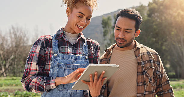 istock Farmer, tablet or team on farm for growth, development or quality assurance for sustainable business. Woman, man or technology in countryside for inspection, planning or checklist for agriculture 2225852459