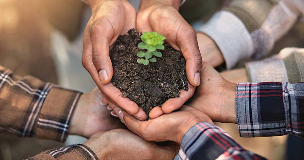 istock Closeup, group and hands with plants for growth, sustainability and eco friendly for earth day. Above, people and teamwork with green leaves for support, accountability or organic farming in nature 2225852473