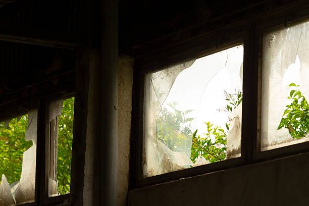 istock A broken window can be seen with a tree standing in the background 2225852936