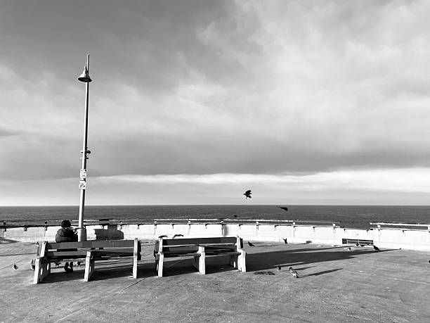 istock Pier Life in Black and White 2225855144