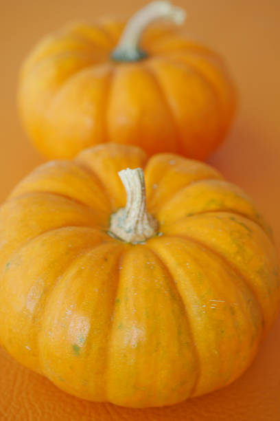 istock Orange pumpkins on a vibrant orange background ready for harvest 2225855275