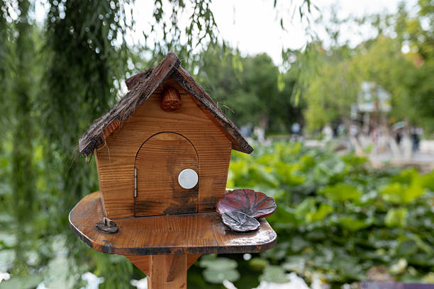 The picture shows a wooden bird house with green plants in the background, creating a natural and leisurely atmosphere. It can be used for gardening decoration, outdoor life, natural ecological scenes, garden supplies promotion, courtyard design materials, natural lifestyle, and convey a sense of comfort close to nature.