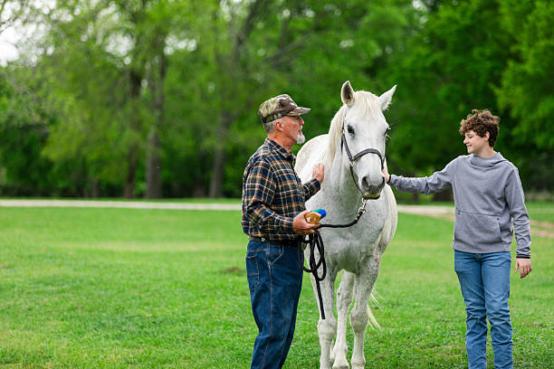istock Grandfather and Grandson Bonding with a White Horse 2225857323