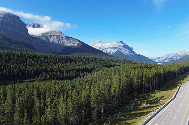 istock Alberta-British Columbia border - Trans-Canada Highway 2225881437