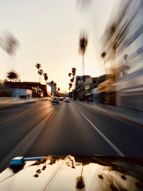 A dynamic view from a moving vehicle during sunset, with palm trees and city buildings blurred by motion. The image captures the energy of an evening drive through a palm-lined urban road.