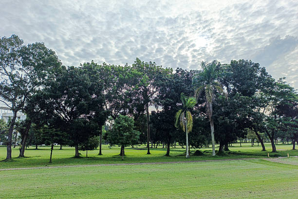 istock Serene Green Landscape of Golf Course with Cloudy Sky View Scenery 2225887496