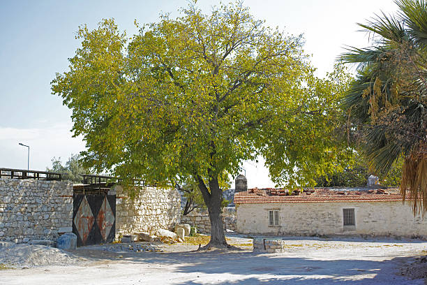 A picturesque rural setting showcasing a traditional stone house under a lush green tree, with an old and weathered wooden gate nearby. The scene is illuminated by natural sunlight, evoking timeless charm.