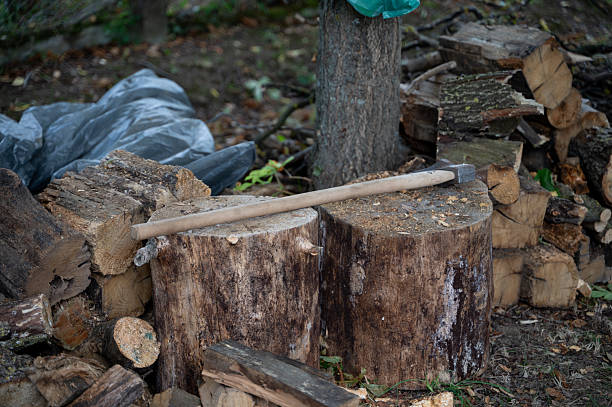 A weathered axe lies across two large tree stumps used for chopping wood, surrounded by a pile of split logs. The earthy tones and natural setting evoke a rustic, hands-on atmosphere typical of rural life and firewood preparation.