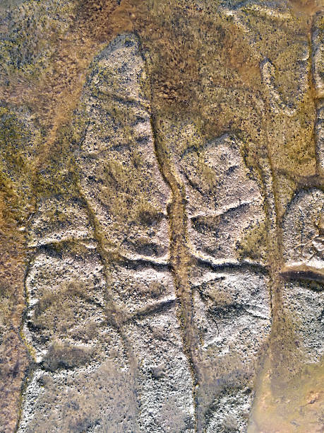 istock Close up of patterns in weathered sandstone at beach 2225897749
