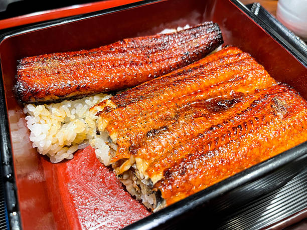 istock Grilled eel (unagi) with kabayaki sauce 2225901516