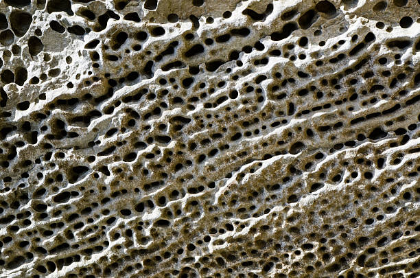 istock Pumice, Lava rock Stone texture full of holes and abstract pattern. 2225903588