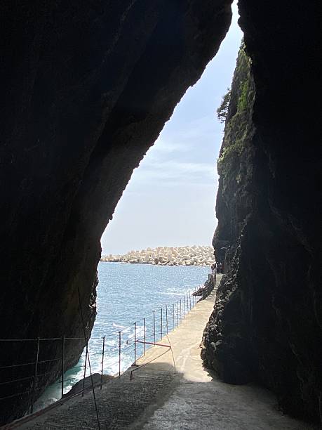 istock korea island ulleungdo ocean walk trail 2225904269