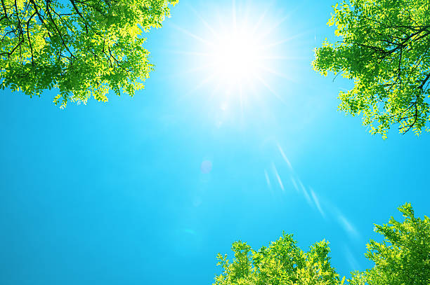 istock View to blue sky with sunbeams through treetops 2225909133
