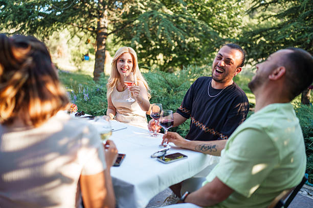 istock Diverse Group of Friends Gathering for Celebration in Backyard 2225922351