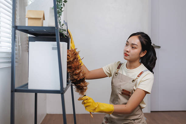 istock Young maid dusting shelves in modern apartment 2225923058