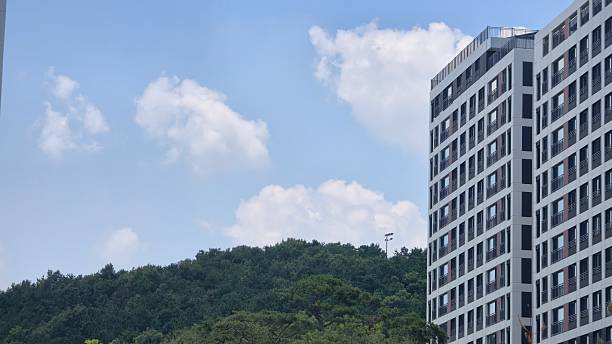 City architecture blends with nature as a forested hillside meets urban development on a sunny day.