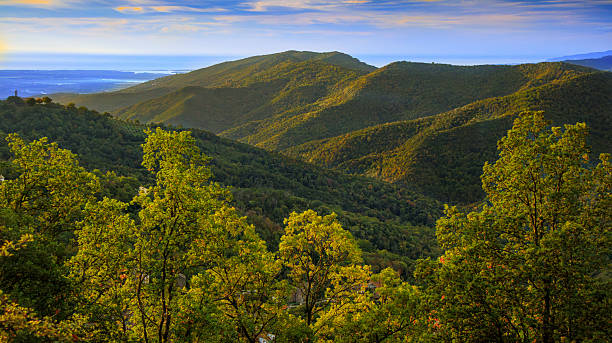 istock Corsican landscape 2225927925