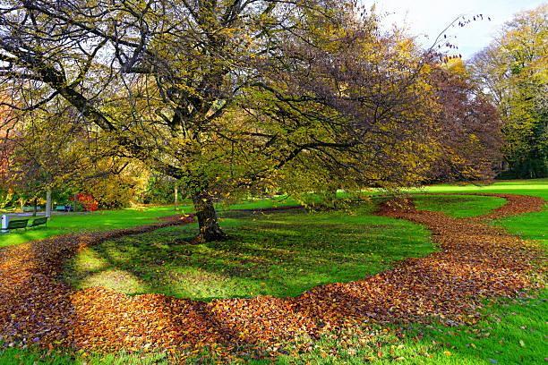 Parc La Grange in autumn in Geneva, Switzerland.