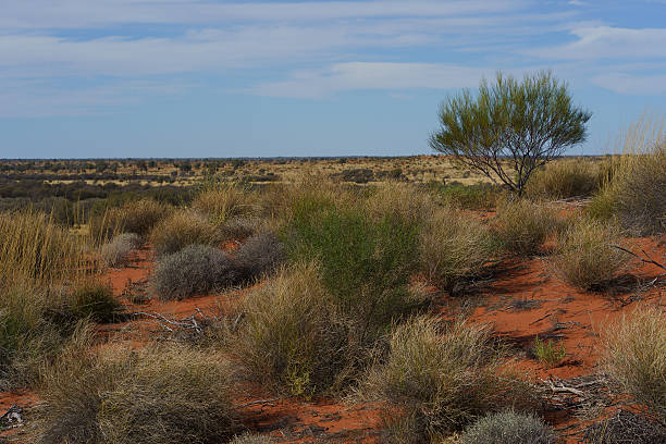 istock The Australian Outback Red centre 2225941694