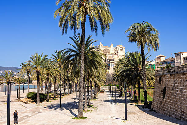 Palma de Mallorca, Spain-April, 2025: View at the Palma cathedral from a park with palm trees