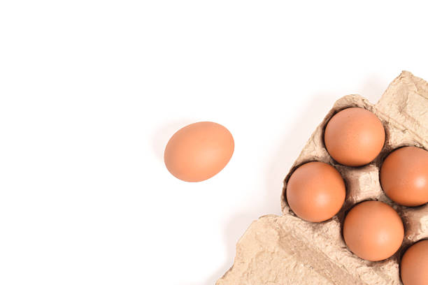 Fresh eggs