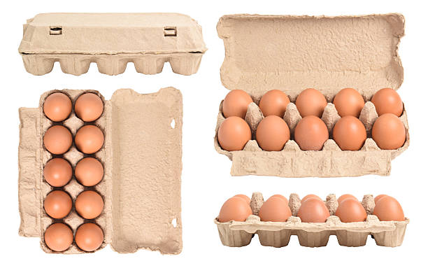 Set of cardboard boxes with chicken eggs isolated on white background