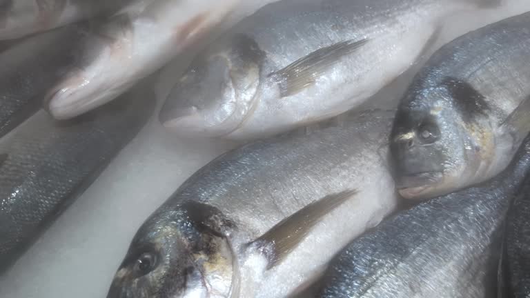 In a bustling local market, vendors display an array of fresh fish early in the morning, enticing shoppers with shiny scales and lively eyes, perfect for culinary creations.