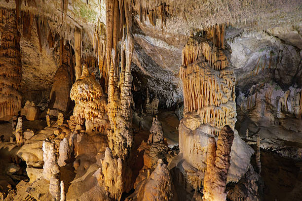 istock Postojna cave in Slovenia 2225957589