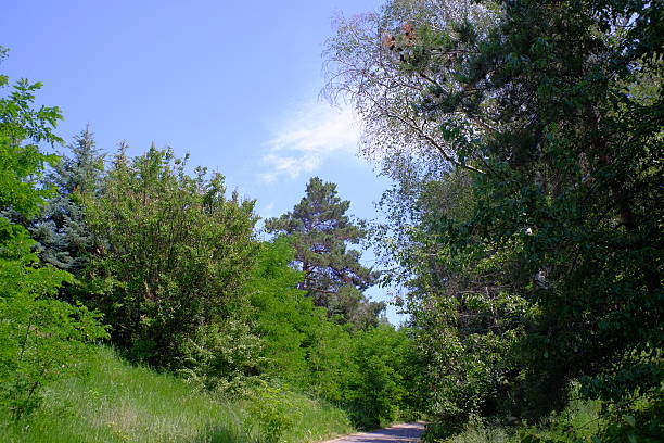 Landscapes and views in Trakhtemyriv natural reserve in Ukraine