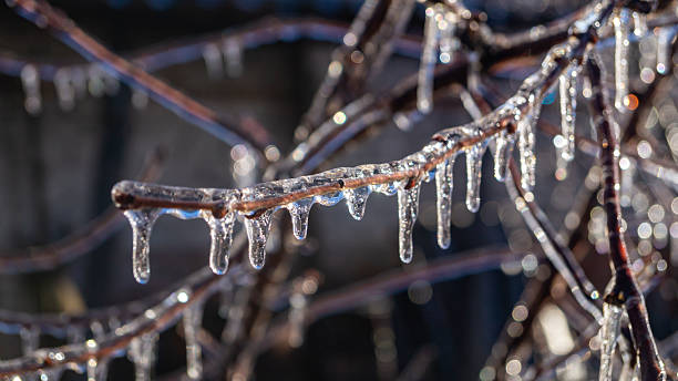 istock Ice on tree branches. Ice covered the tree branches. Ice on a branch close-up 2225957918