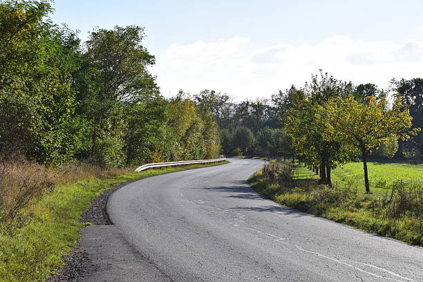 istock curvy road with small autumn trees along the way 2225962211