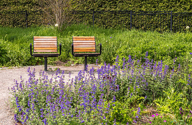 Wooden bench in front of a pink rhododendron bush