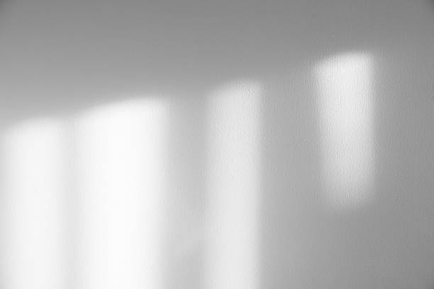 istock Grey shadow and light blur abstract background on white wall texture, Background room interior concrete wall with window light, dark gray shadows for product design,Backdrop monochrome banner 2225967220
