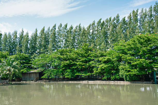 istock Riverside with tropical trees and herd of deer under blue sky 2225973013