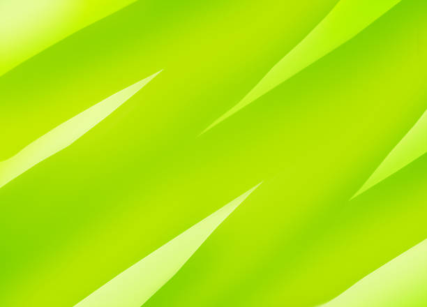A repeating pattern of bright green leaves covers the background suggesting nature and freshness