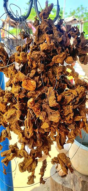 istock Traditional sun-dried mutton meat hanging on wires, a time-honored preservation technique commonly used in Indian villages to enhance flavor and shelf life. 2225976522