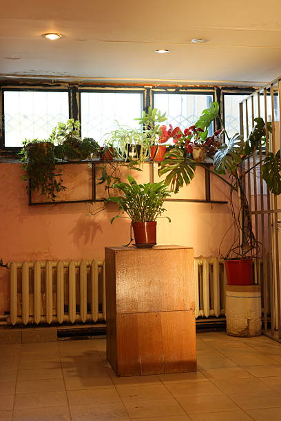 istock Creative Indoor Plant Arrangement Placed Near Radiator in an Inviting Modern Space 2225980003