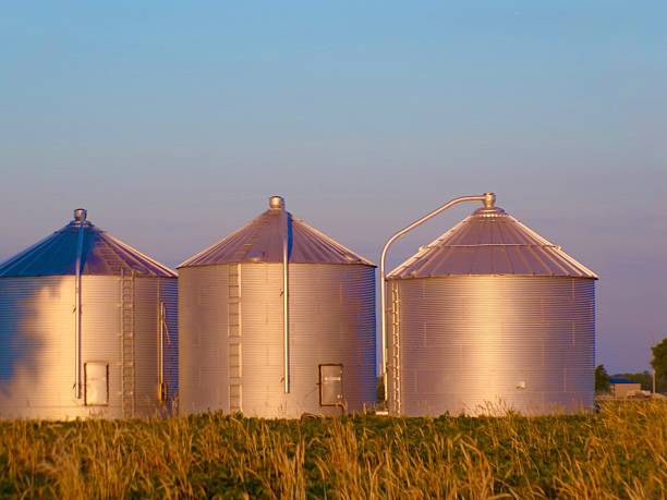 istock Silos during sunrise and blue skies. 2225980283