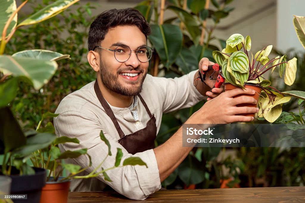 Flower shop assistant cutting the plants and looking busy - Royalty-free 16-17 Anos Foto de stock Flower shop assistant cutting the plants and looking busy - Royalty-free 16-17 Anos Foto de stock