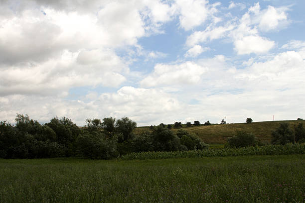 Beautiful forest landscapes of the first days of summer. Banks of a forest river, fields and forest edges.