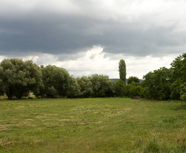 istock A grassy field with trees in the background 2225981342