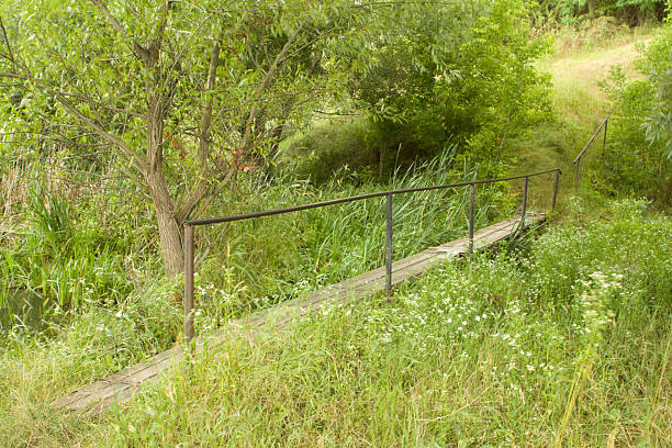 A dirt road with a fence and trees on the side. Grass. Outdoor. Tree. Plant. Lush