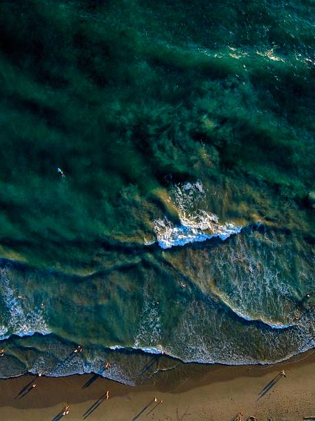 Bird eye view of waves crashing on Huntington beach, featuring beachgoers enjoying the evening sun.