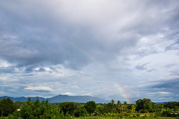 Wide view of heavy clouds and greenery, great for stormy atmosphere, moodiness, or outdoor background scenes.
