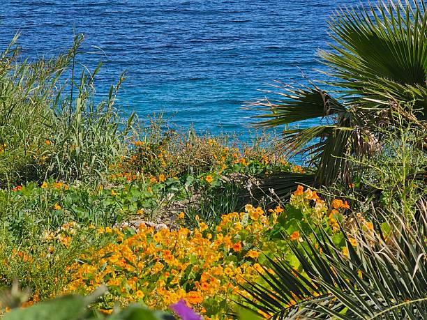 istock Panoramic view to the ligurian riviera landscape in spring. 2225986885