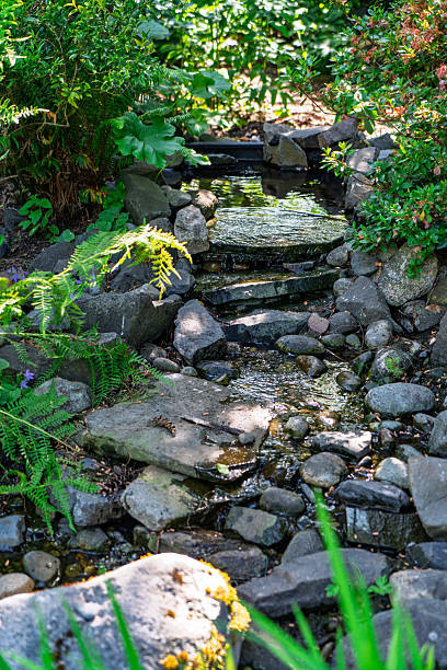 istock Rocky Garden Stream 2225989260