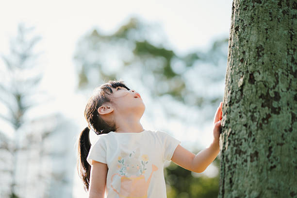 A young Asian girl standing next to a tree, gazing upward with curiosity and wonder, bathed in natural sunlight on a bright day