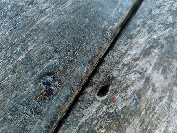 istock Natural grunge wooden planks displaying raw textures 2225993423