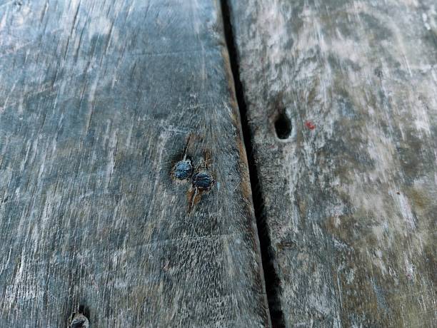 istock Natural grunge wooden planks displaying raw textures 2225994048
