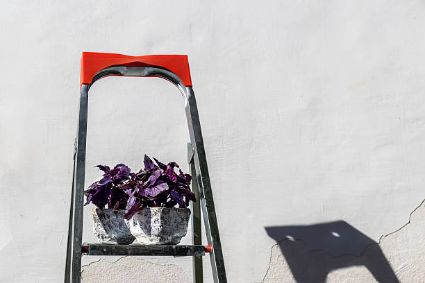 Two white flower pots with purple plants against white wall.   \nPots are on top step of stainless steel step ladder